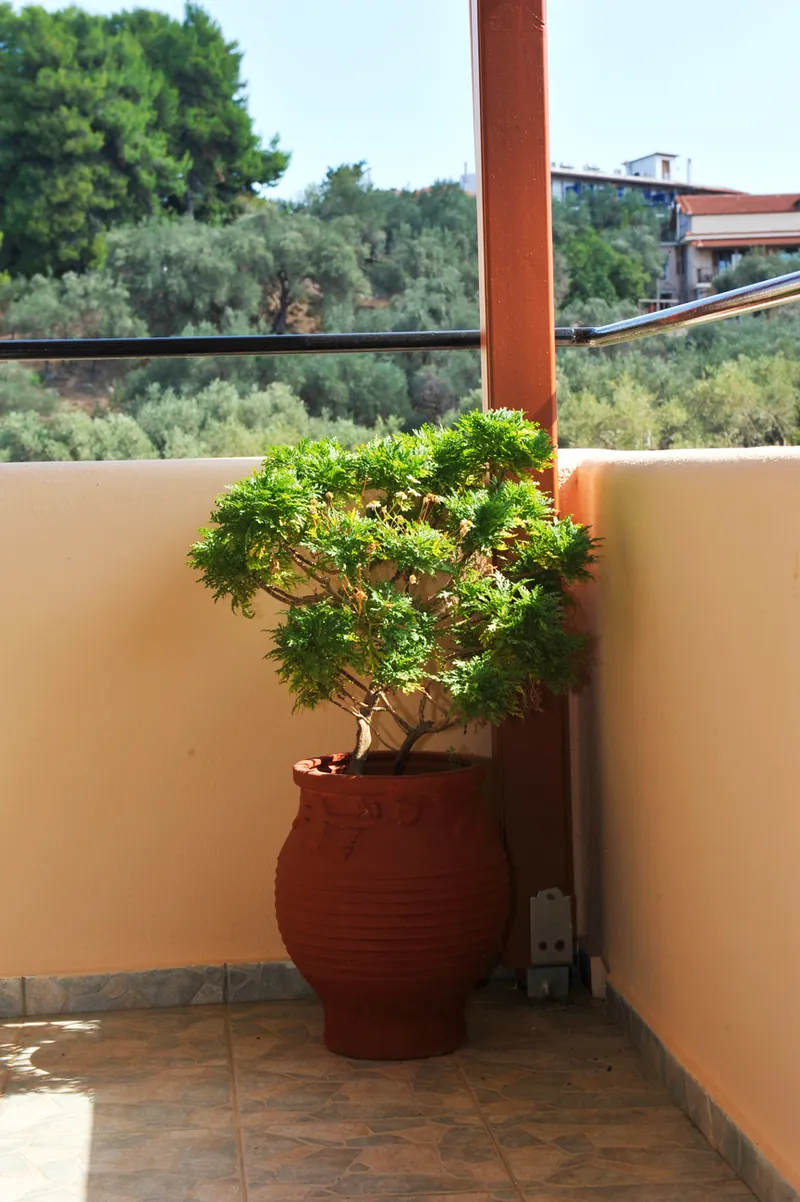Μπαλκόνι με γλάστρα